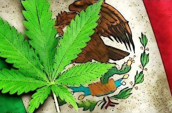 Cannabis medicinal en México