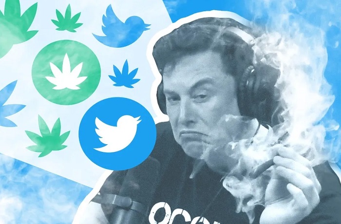 Elon Musk Cannabis