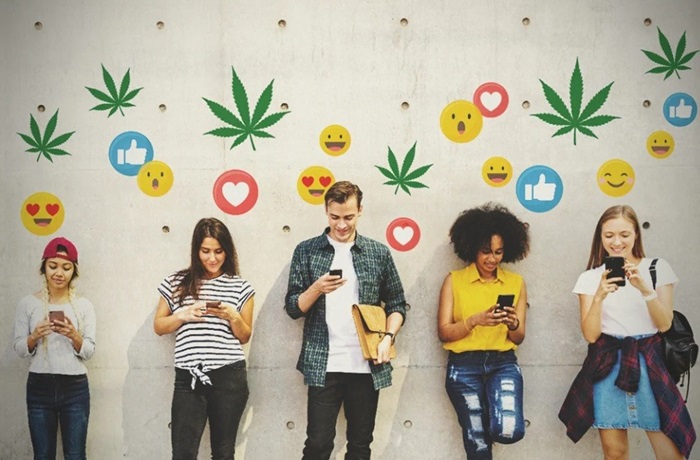Influencers cannabis