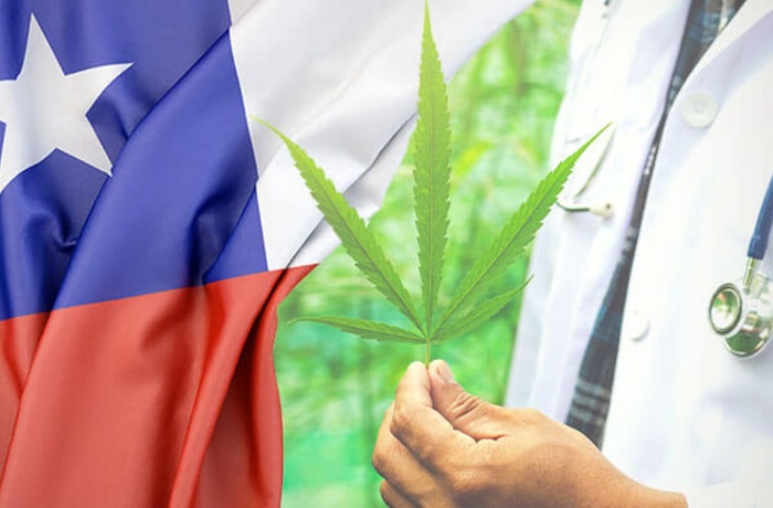 Cannabis en Chile