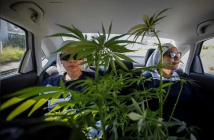 Las monjas de la marihuana