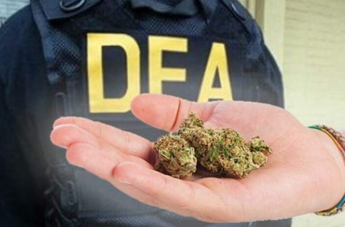 Marihuana DEA
