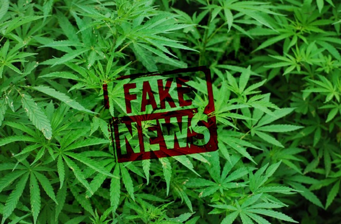 Fake news cannabis